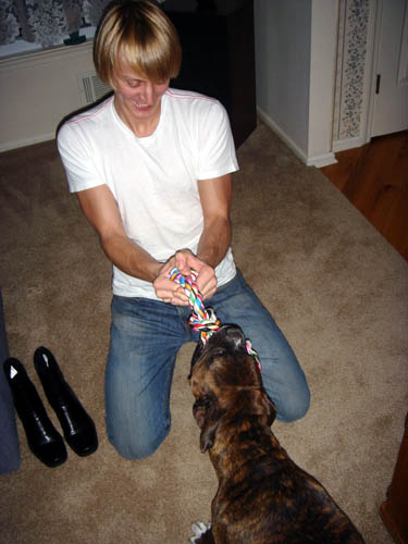 dog