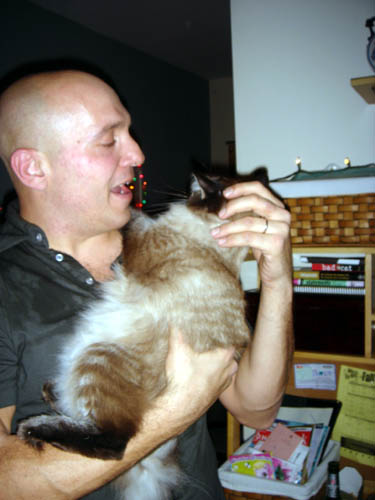 cat