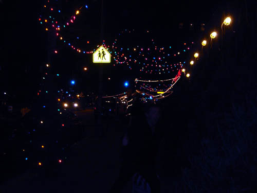 xmas lights