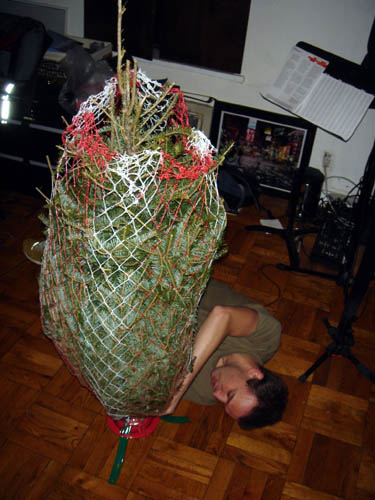 xmas tree