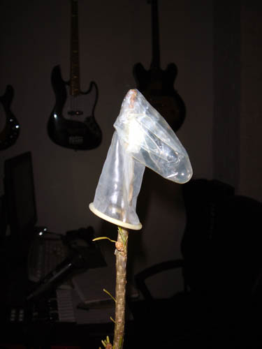 xmas tree