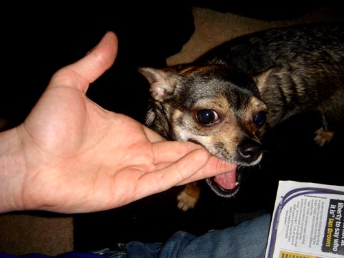 hand