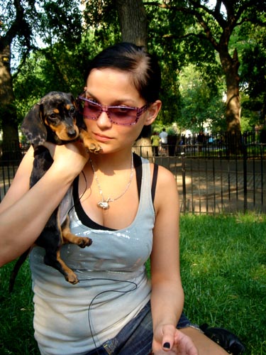 sunglasses + dogs