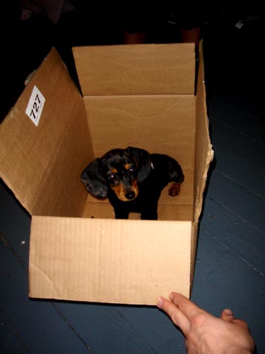 box