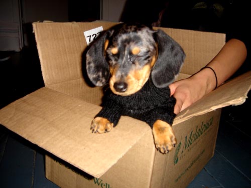 box