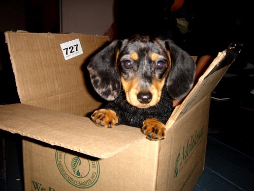 box
