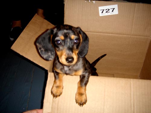 box