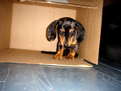 box