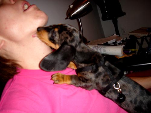 lick