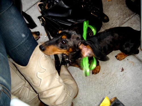 edie