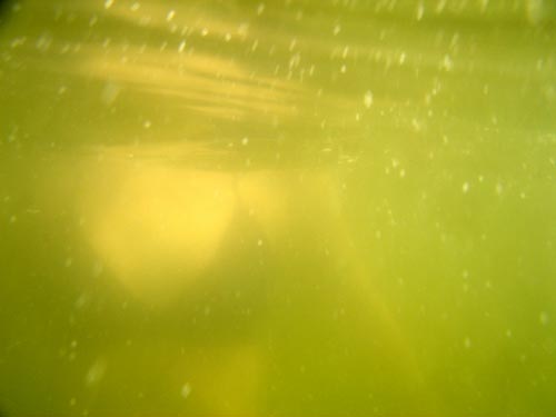 underwater