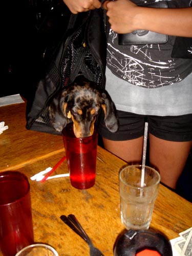 drink