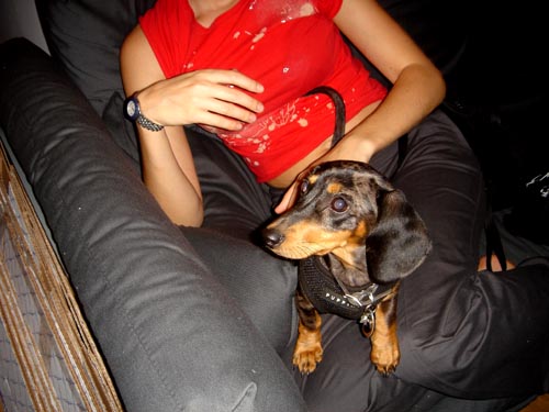 edie