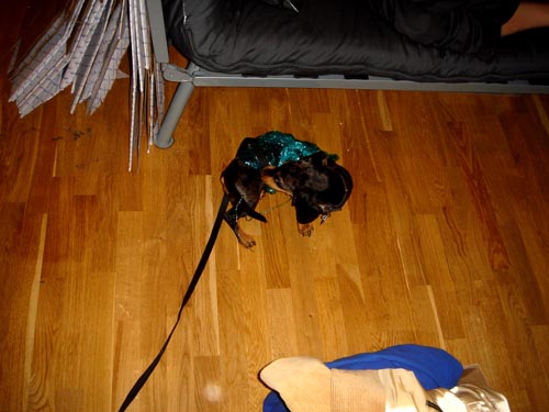 edie