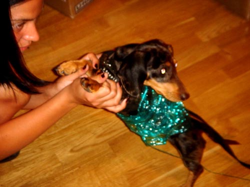 edie + leigh