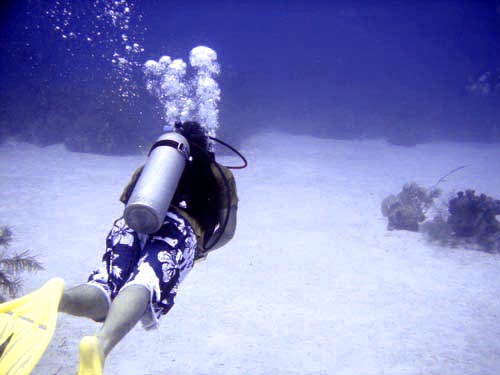 scuba