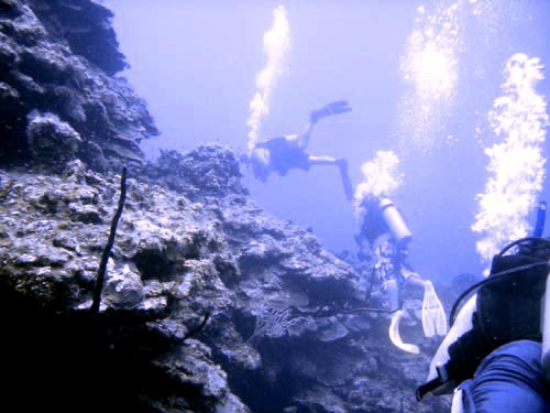 scuba