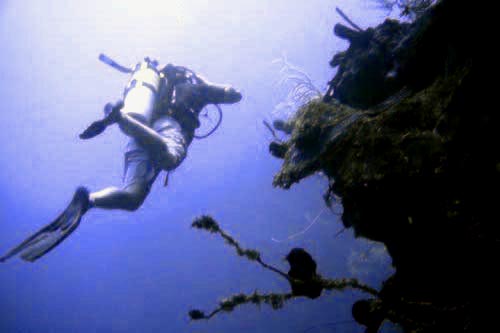 scuba