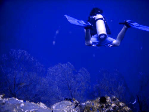 scuba