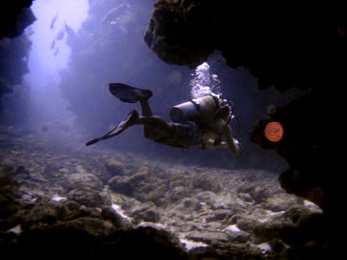 scuba