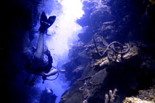 scuba