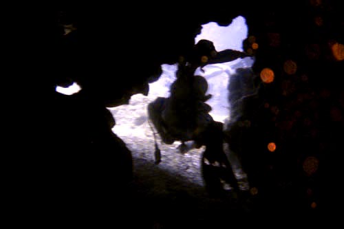 scuba