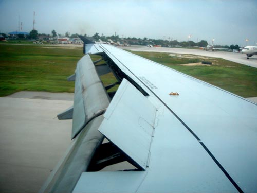 wing