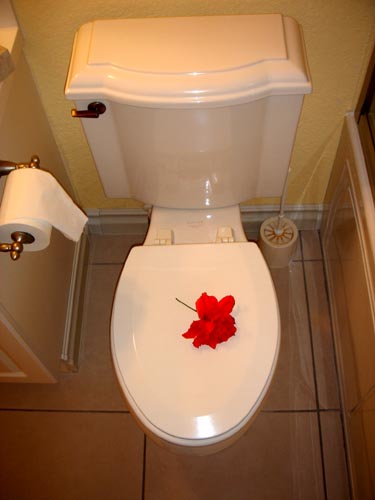 toilet