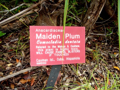 sign