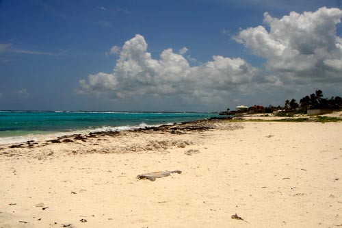 beach
