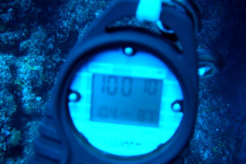 scuba
