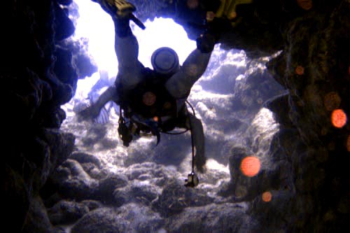 scuba