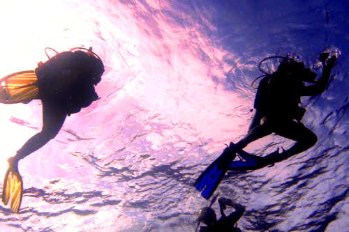 scuba