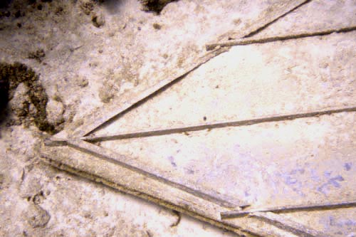 scuba