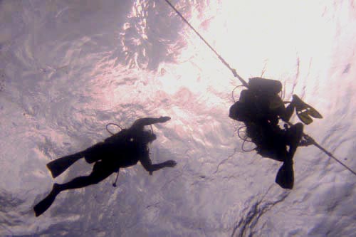 scuba