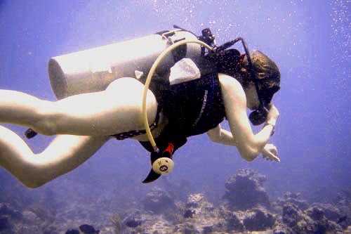 scuba + meredith