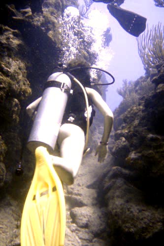 scuba + meredith