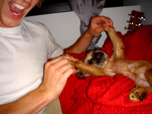 monkey