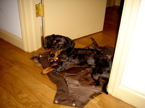 edie