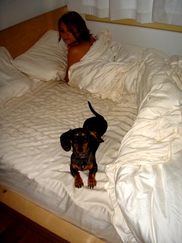 bed