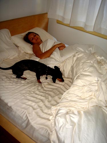 bed