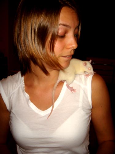 ratso