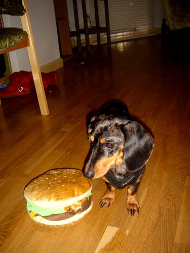 burger