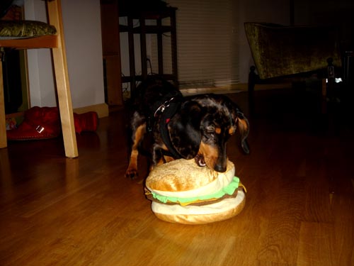 bite