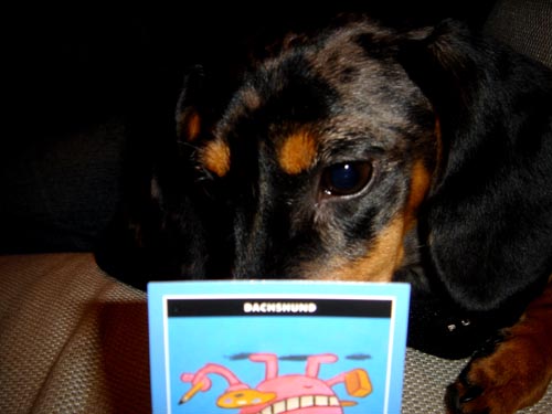 edie