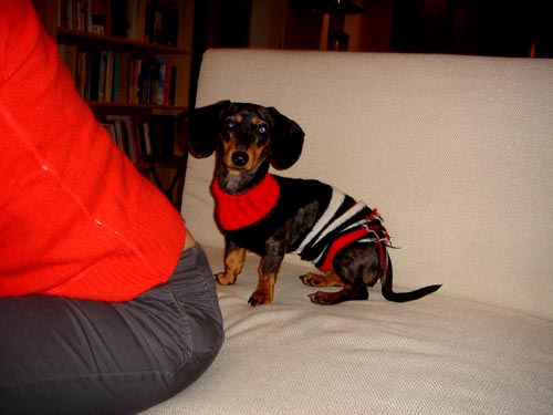 edie