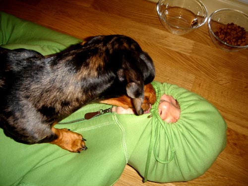 lick