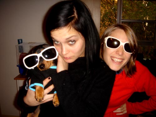 sunglasses + dogs