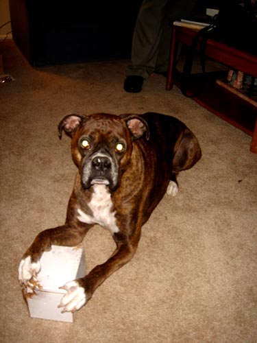 zoe