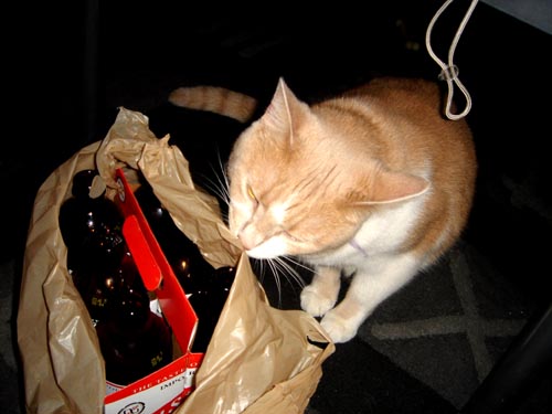 beer
